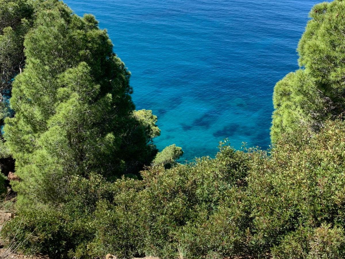 Apartmán Casa Trezeni Santa Maria di Castellabate Exteriér fotografie